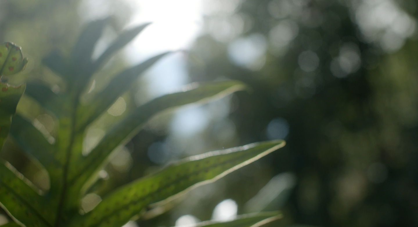 Sol Garden và hành trình kiến tạo chuẩn sống an nhiên giữa lòng đô thị mới